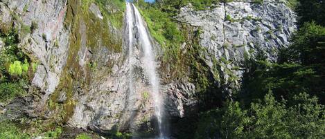Een waterval stort neer over een rotsachtige klif, omringd door weelderige begroeiing.