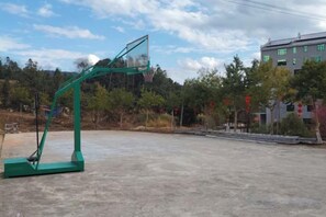 An outdoor basketball court with a green basketball hoop. - Hongdou Mountain Villa (Pingyuan)