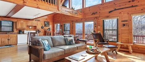 Smart TV, fireplace, DVD player, video library