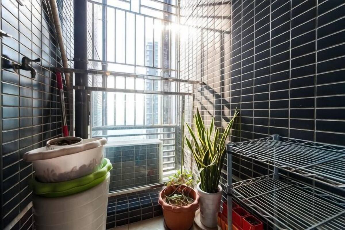A corner of a room with a window, potted plants, and metal shelving.
