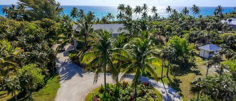 A tropical resort with a paved driveway, palm trees, and a view of the ocean.