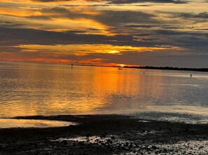 Beach nearby, sun loungers, beach towels - 2/1 Pvt Pool home/ walk to Blue Jays stadium/ DT Dunedin. Golf
Cart rental avail (Dunedin)