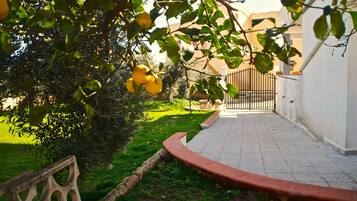 Áreas de la propiedad