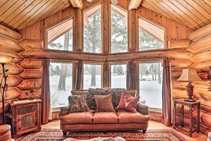 Smart TV, caminetto, libri