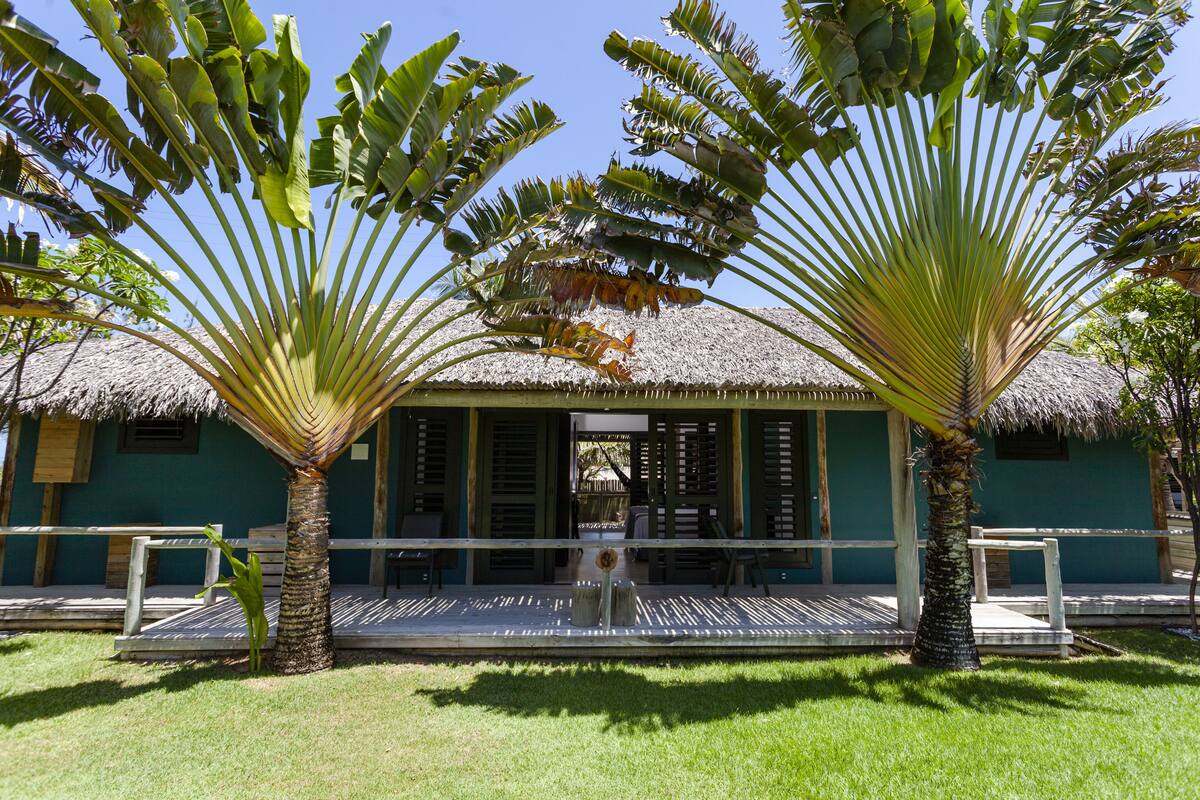 A thatched-roof building with a covered outdoor seating area, surrounded by palm trees and a well-maintained lawn.