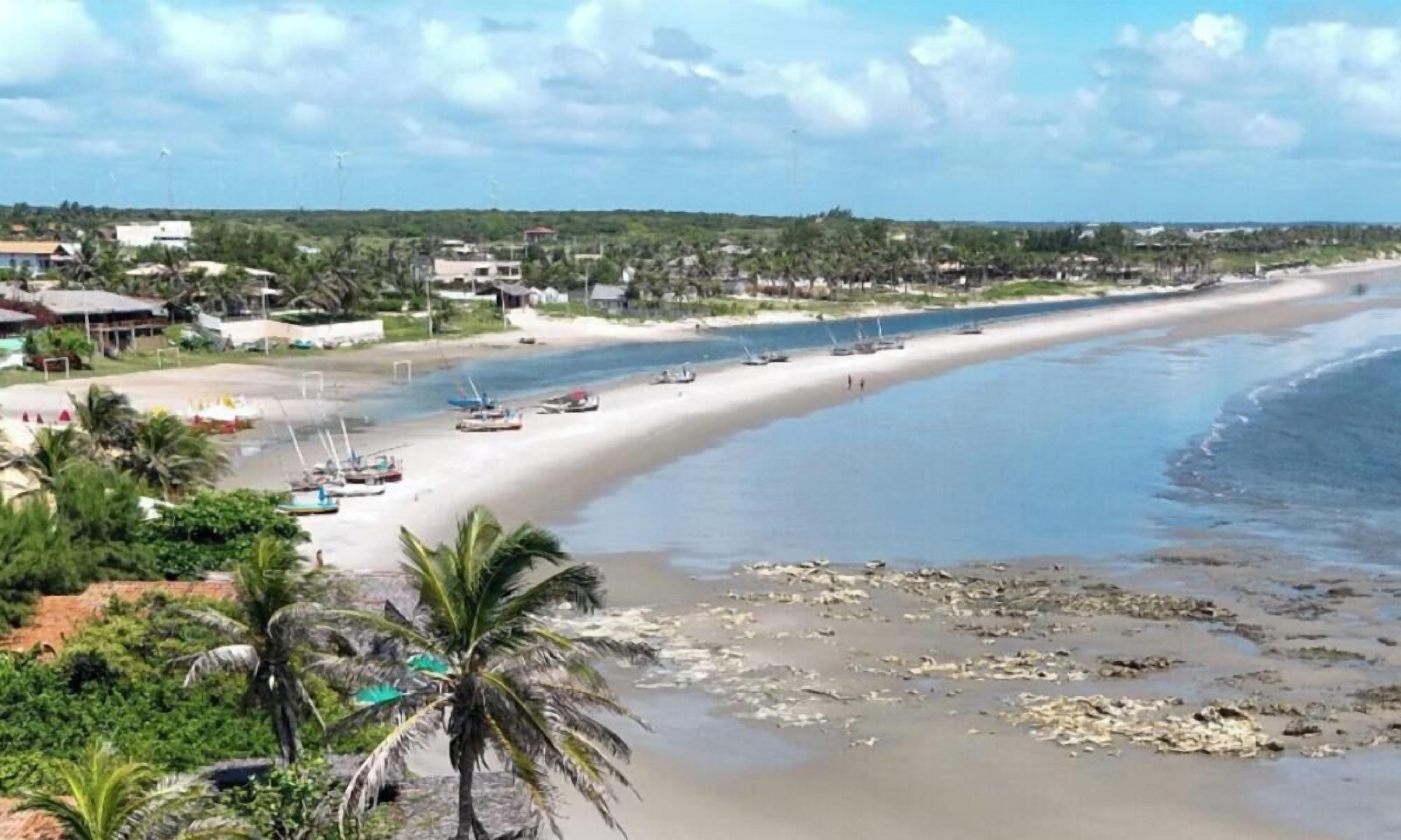 A coastal view with a beach, boats, and a palm tree.