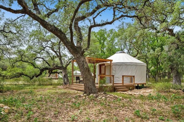 A yurt with a wooden porch and steps, surrounded by trees.