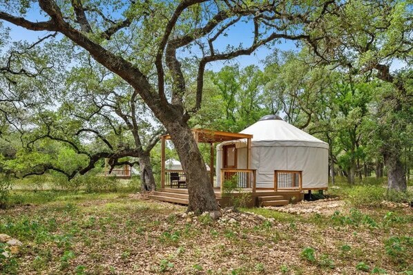 A yurt with a wooden porch and steps, surrounded by trees.