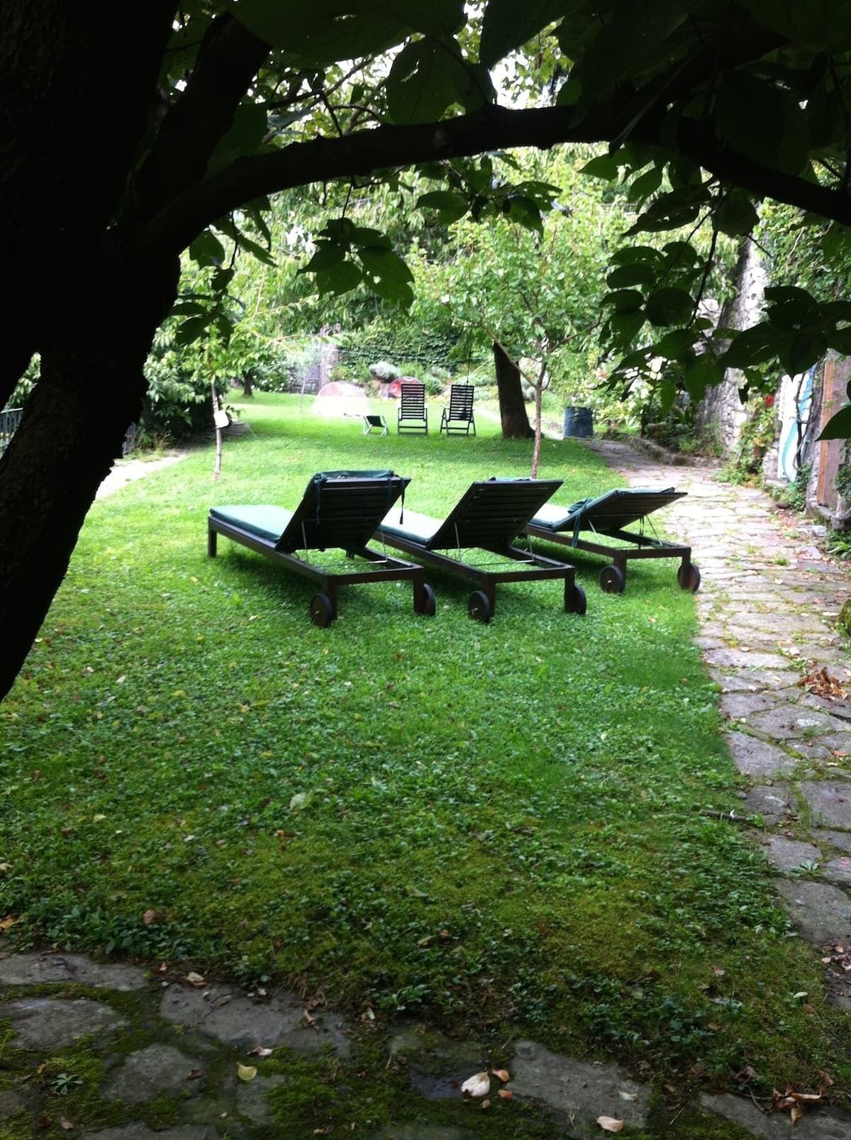 Un espacio al aire libre con césped, tres sillones de descanso y una pequeña mesa, rodeado de árboles y un camino de piedra.