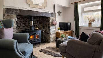 Una televisión, una chimenea