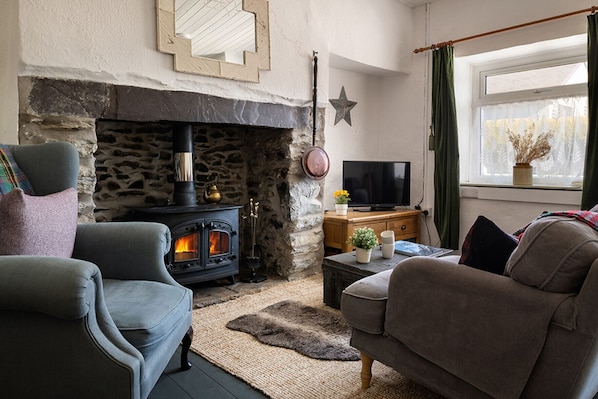 TV, fireplace