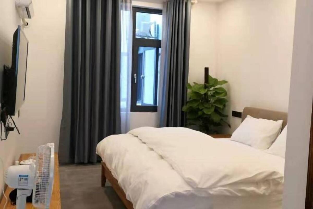 Une chambre d’hôtel avec un lit, une plante, une télévision et une fenêtre avec des rideaux.