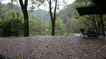 A wooden deck with fallen leaves, surrounded by trees and a bench.