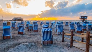 Una playa con hileras de sillas de playa a rayas y un muelle de madera.