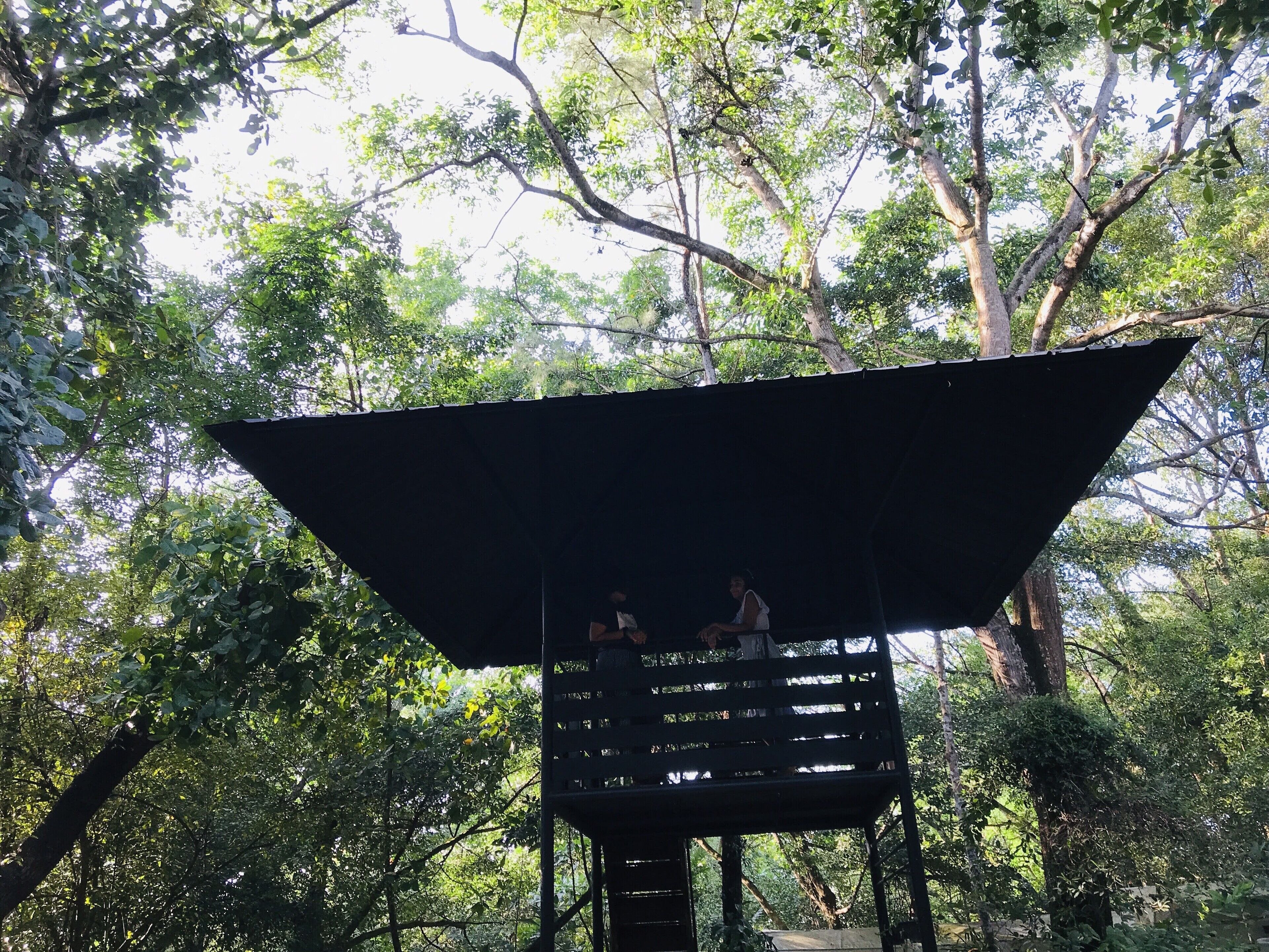 A wooden structure with a slanted roof, surrounded by dense greenery.