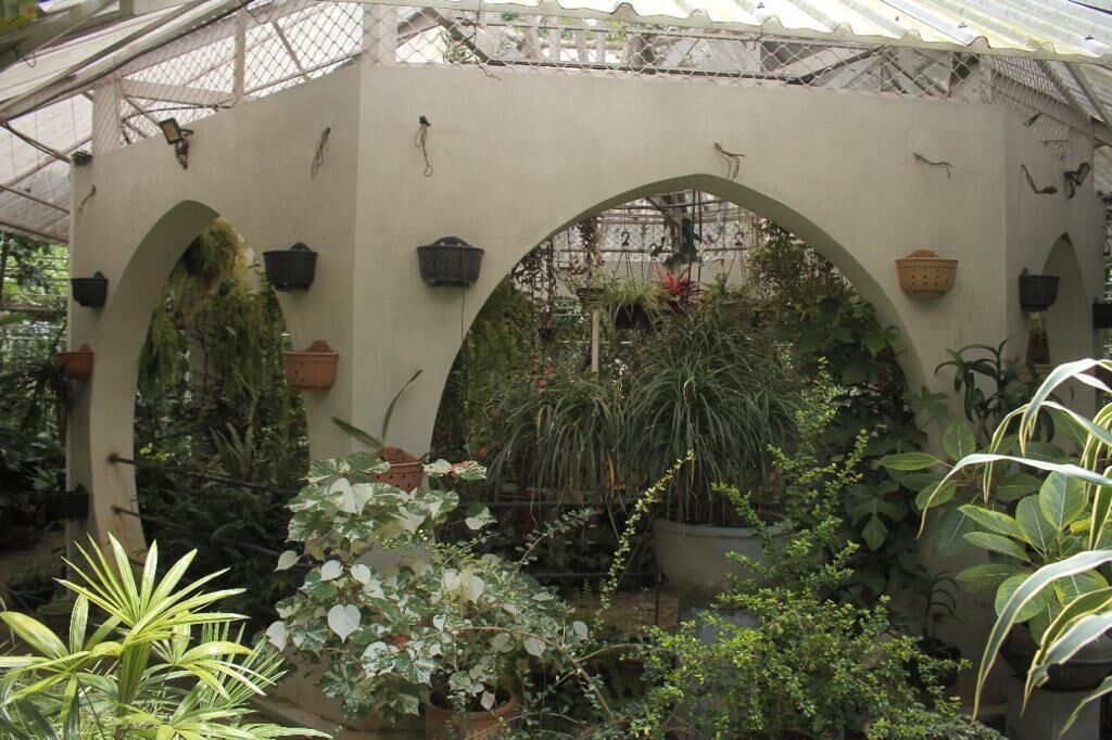 Une serre avec des arcades, des plantes en pot et des suspensions florales.