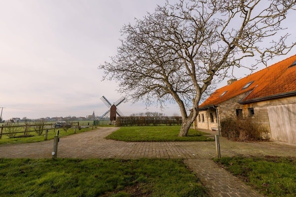 Garden with view on the windmill