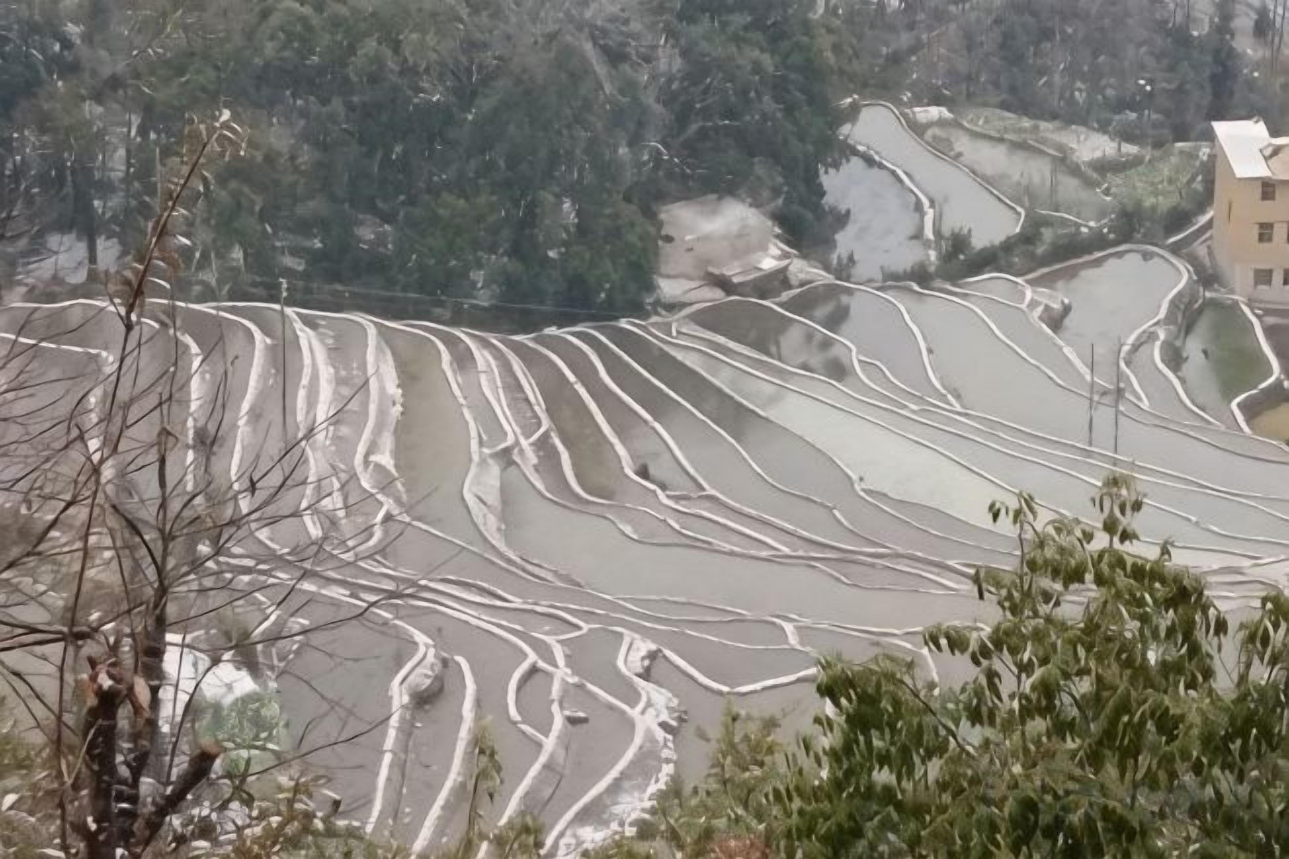 Terraced rice fields with a building in the background.