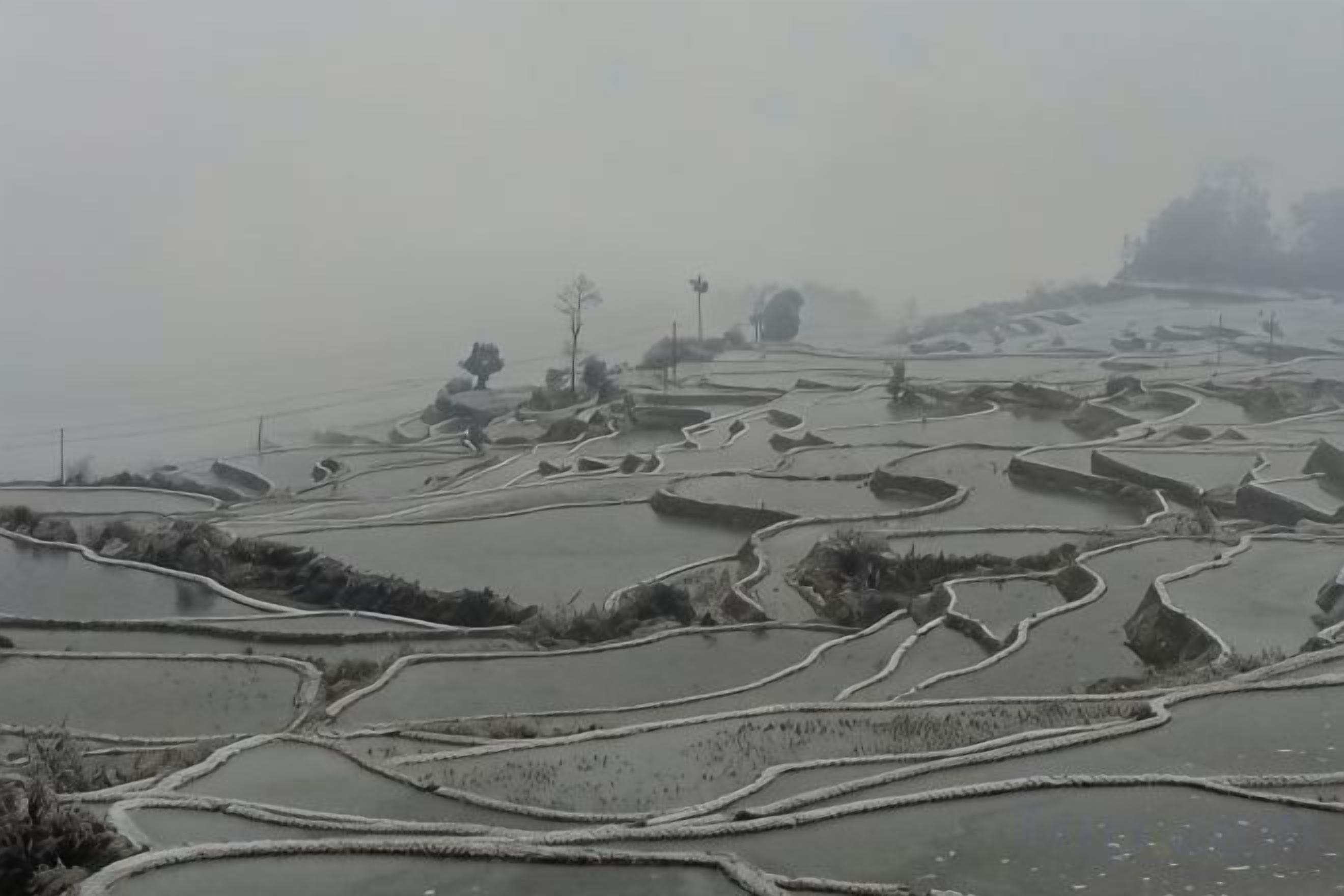Terrasvormige rijstvelden gehuld in mist.