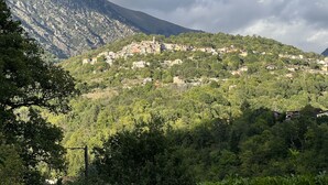 A hillside village with buildings nestled among trees, a prominent church, and a mountain in the background. - Nice little studio in the Vésubie valley, Mercantour Park (Roquebillière)