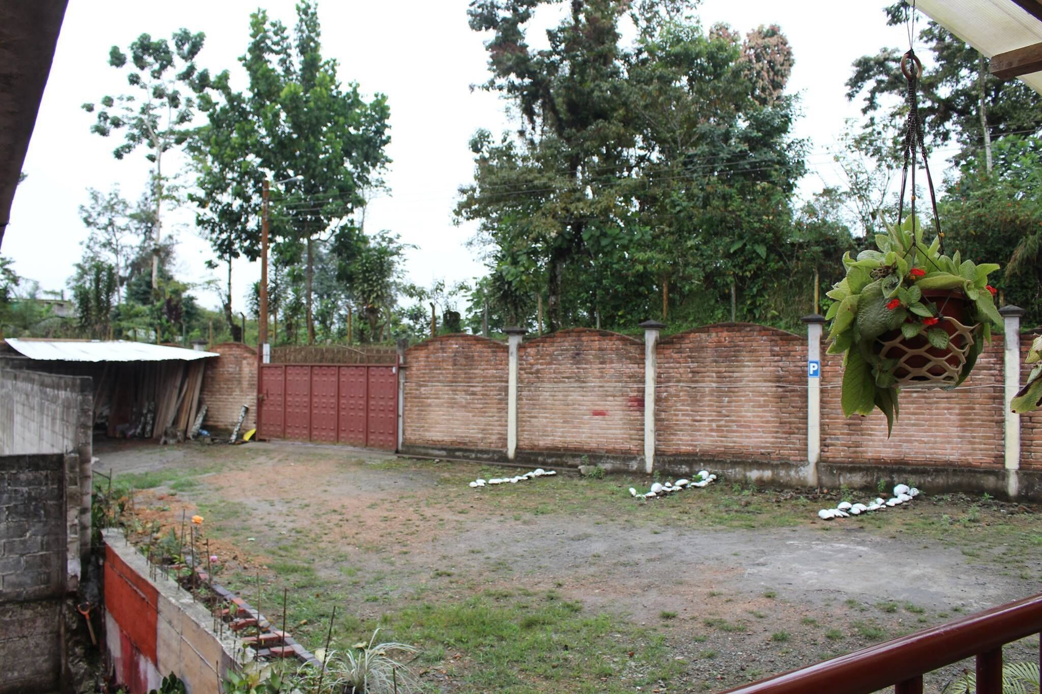 Un patio trasero con un muro de ladrillo, una planta colgante y una pequeña zona ajardinada.