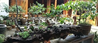 Mingshanju Inn