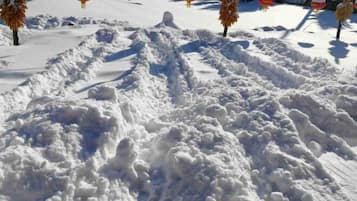 Deportes de invierno y ski