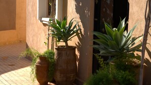 A courtyard with a large terracotta pot and a potted plant near a building entrance. - Dar Ajgal (Tanalt)