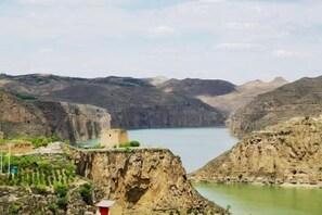 Vista desde la propiedad