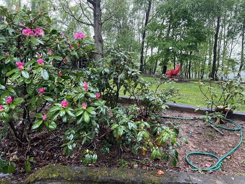 Casa Luna Blue Ridge Parkway