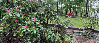 Casa Luna Blue Ridge Parkway