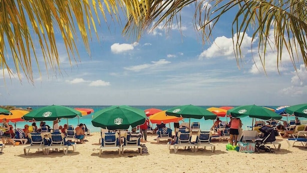 A beach with rows of sun loungers and umbrellas, palm trees, and a clear blue sky.