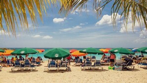 A beach with rows of sun loungers and umbrellas, palm trees, and a clear blue sky. - Sublime Stay - Royal Retreats at Maho Beach (Lowlands)