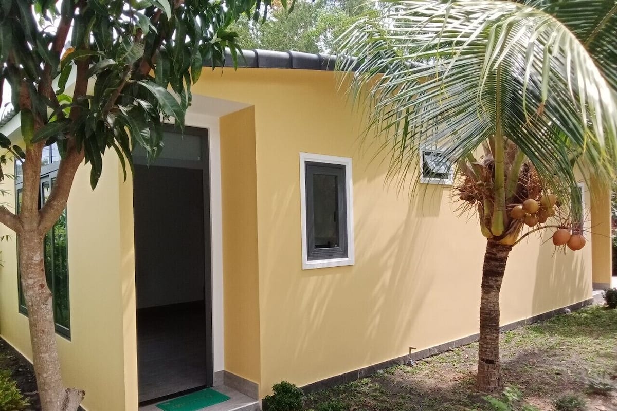 A small yellow building with a door, a window, and a palm tree in front.