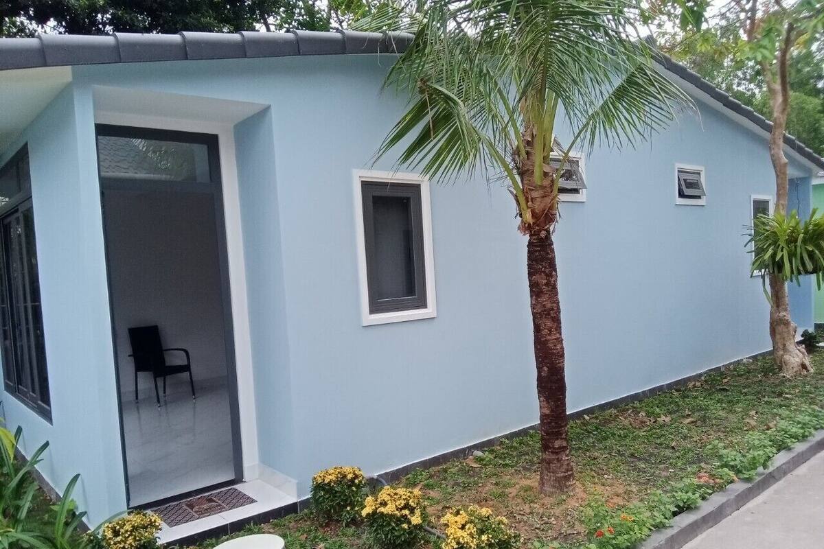 A light blue building with a door, a small window, and a palm tree.