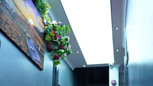 A hallway with a red carpet leading to a staircase, a painting on the wall, and a potted plant with flowers. -  Middle Village (Istanbul)