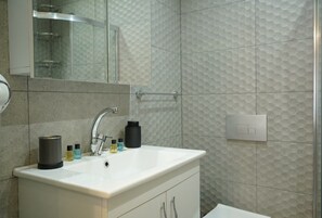 經濟客房 | 浴室 | 淋浴設備、雨淋花灑、風筒、拖鞋