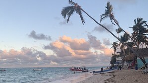 Una playa con palmeras, barcos y un edificio de techo de paja.