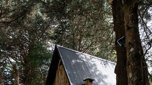 Una cabaña rústica con techo inclinado, rodeada de árboles altos.