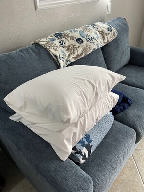 TV, fireplace, table tennis