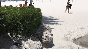 Ein sandiger Strand mit Palmen und blauem Himmel.