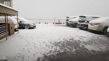 Avgiftsfri parkering