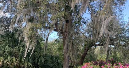 Rocket & Nature Lovers! Vintage European Cottage in a lush Florida Setting