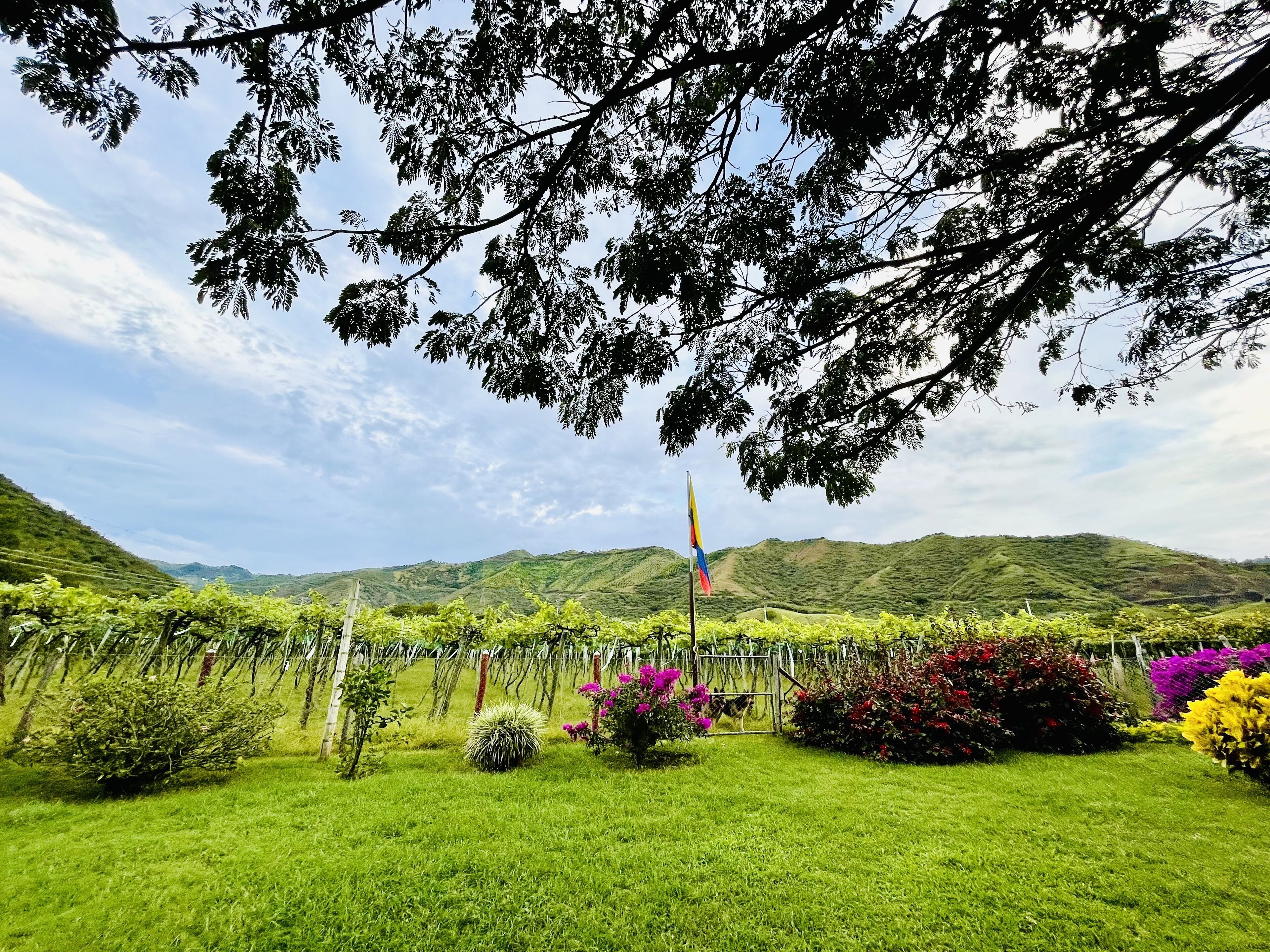 Overnattingsstedets uteområder