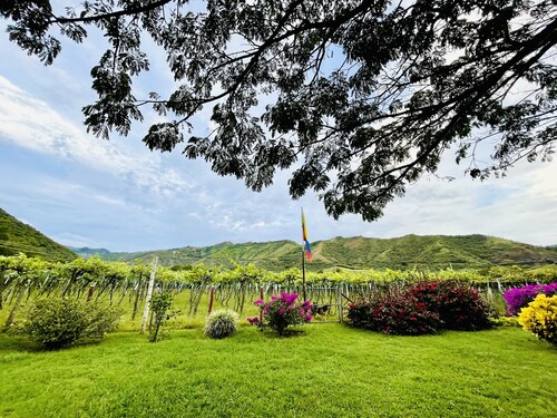 Relaxing farmhouse in "La Union, Valle" near all attractions!