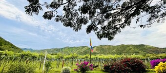 Relaxing farmhouse in "La Union, Valle" near all attractions!