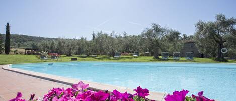 Piscina externa