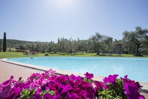 Piscina externa