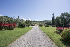 Property grounds - Il Castello Apartment in Farmhouse with swimming pool overlooking Lake Trasimeno (Umbria)