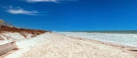 Playa en los alrededores 